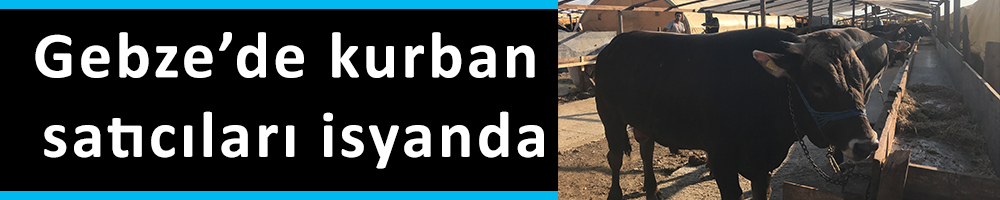 Gebze’de kurban satıcıları isyanda