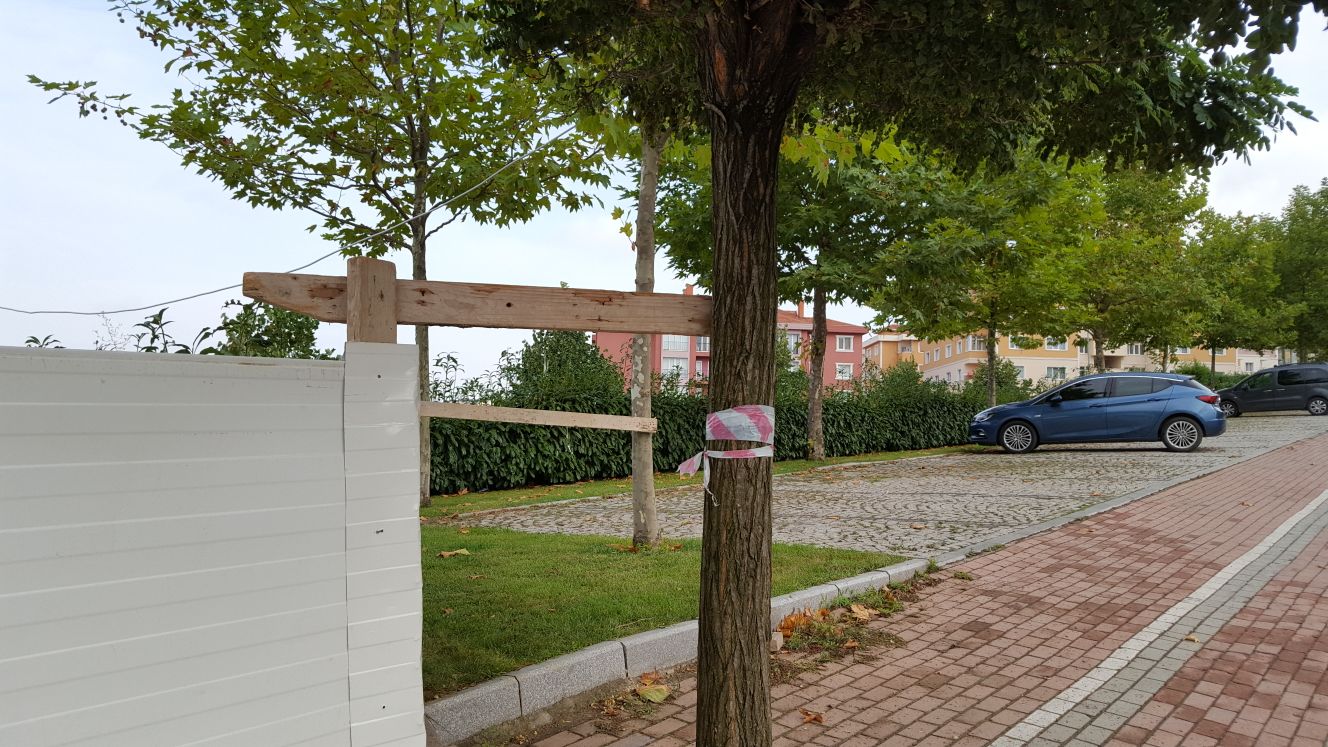 Fidanlara çivi çaktılar