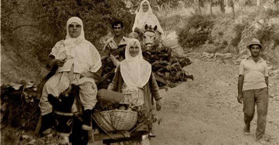 Elmalıktan dönüş yolunda