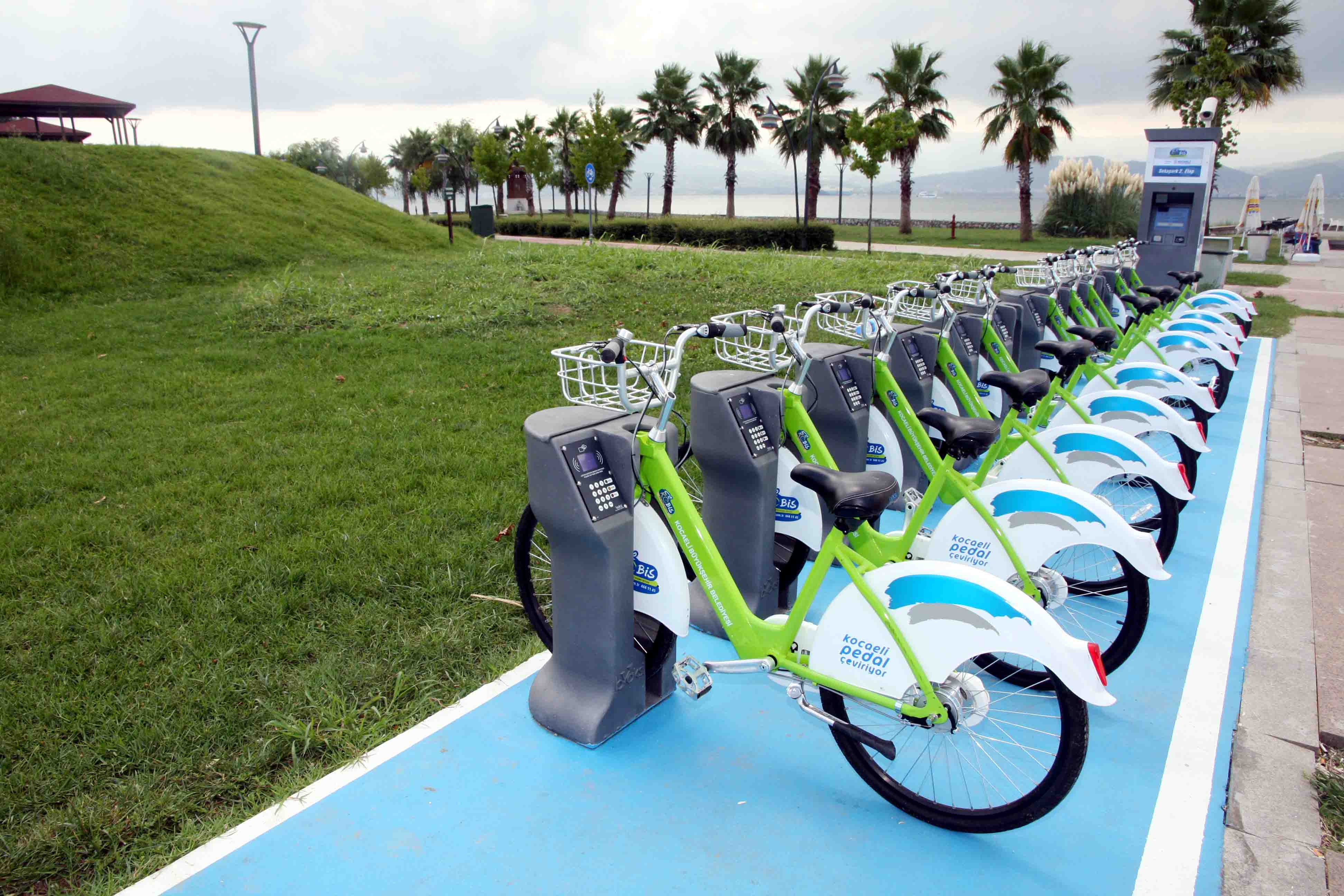 Kocaelililer Kobis’i sevdi