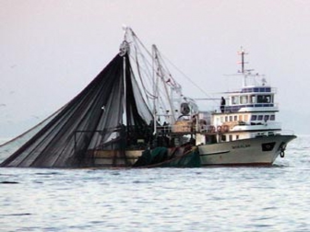 Uskumru 40 yol sonra Marmara’da