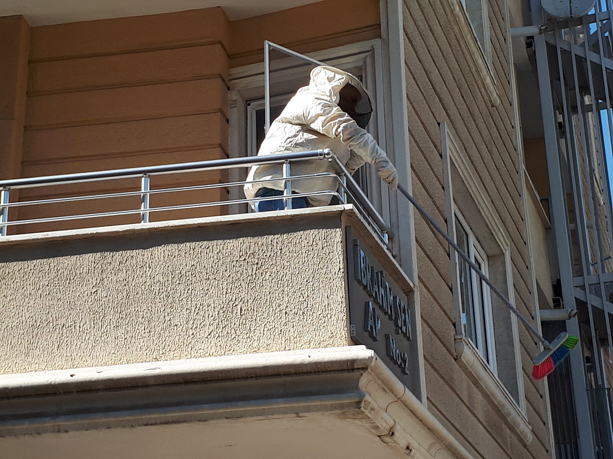 Balkonda arı operasyonu!