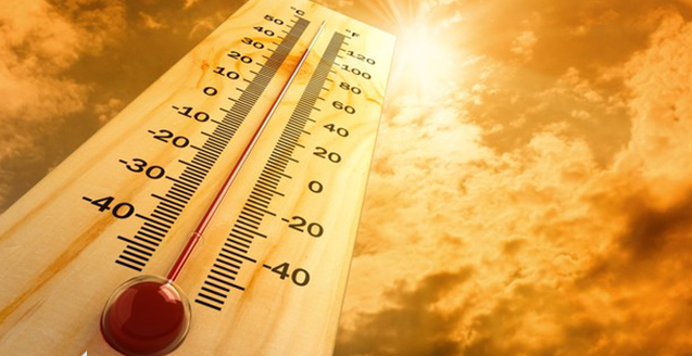 Kocaeli’nde sıcak günler