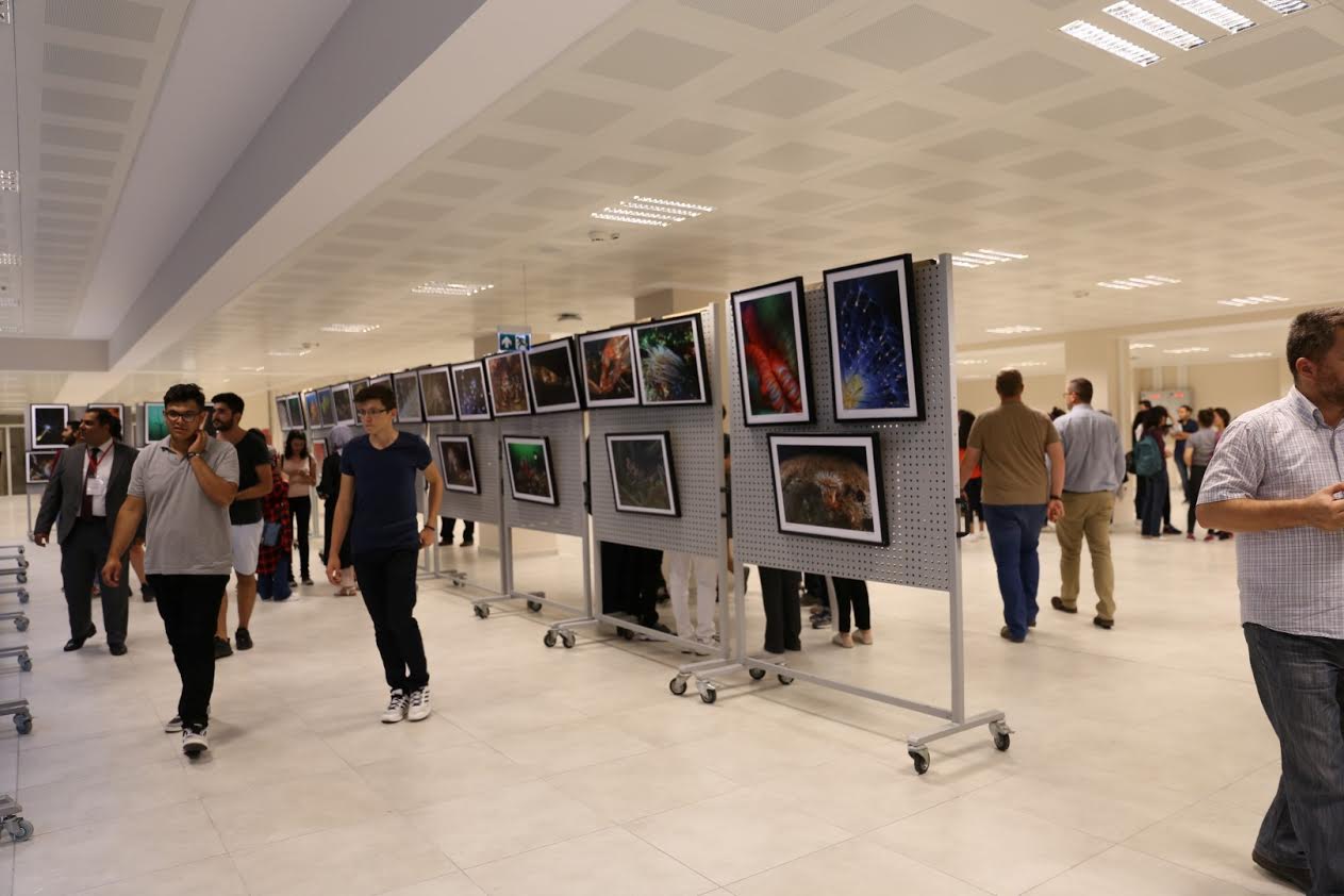 GTÜ'de su altı resim sergisi açıldı  