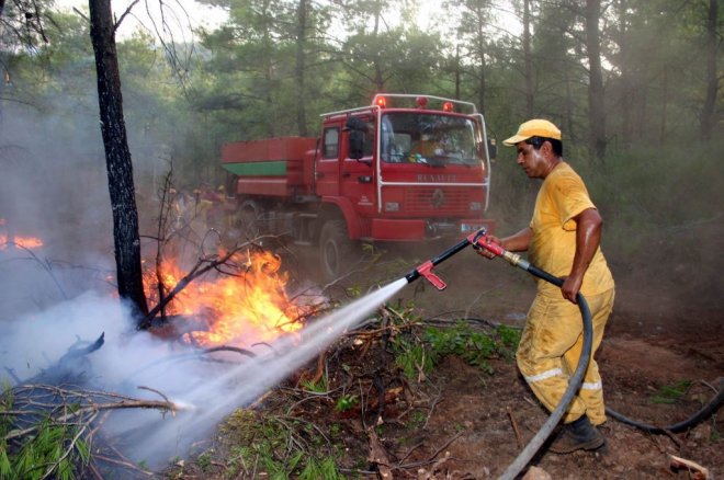 İhmal ve dikkatsizlik  ormanları yok ediyor
