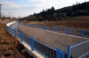 Vatandaşlar Sırasöğütler Deresi’nden şikayetçi