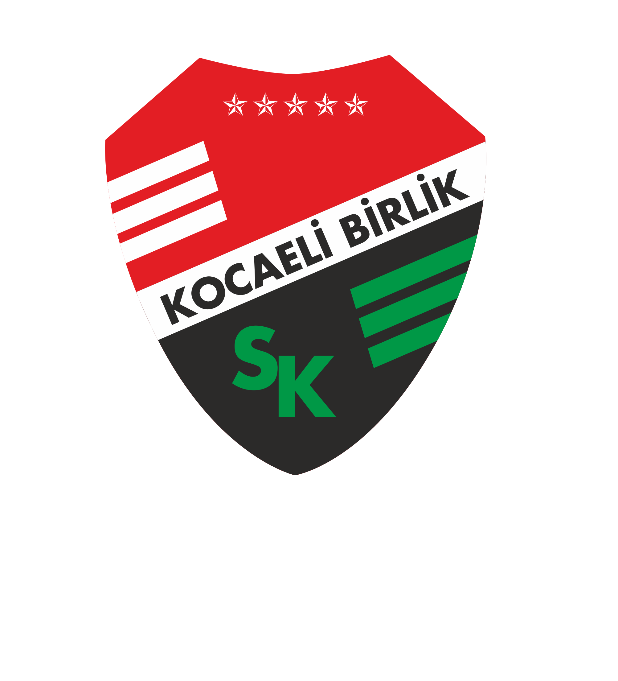 BİRLİKSPOR’A ŞOK CEZA!