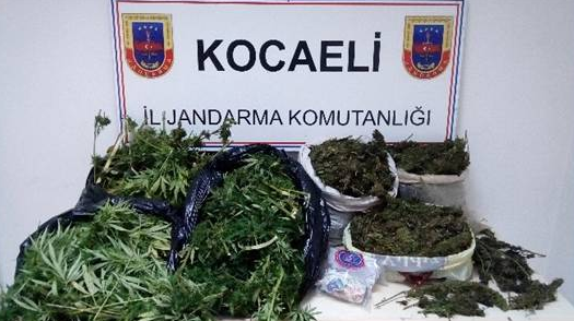 42 kilo esrar, 11 kilo eroin ele geçirildi