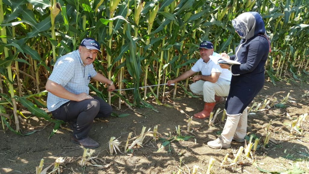 2 bin çiftçiye tohum verilecek