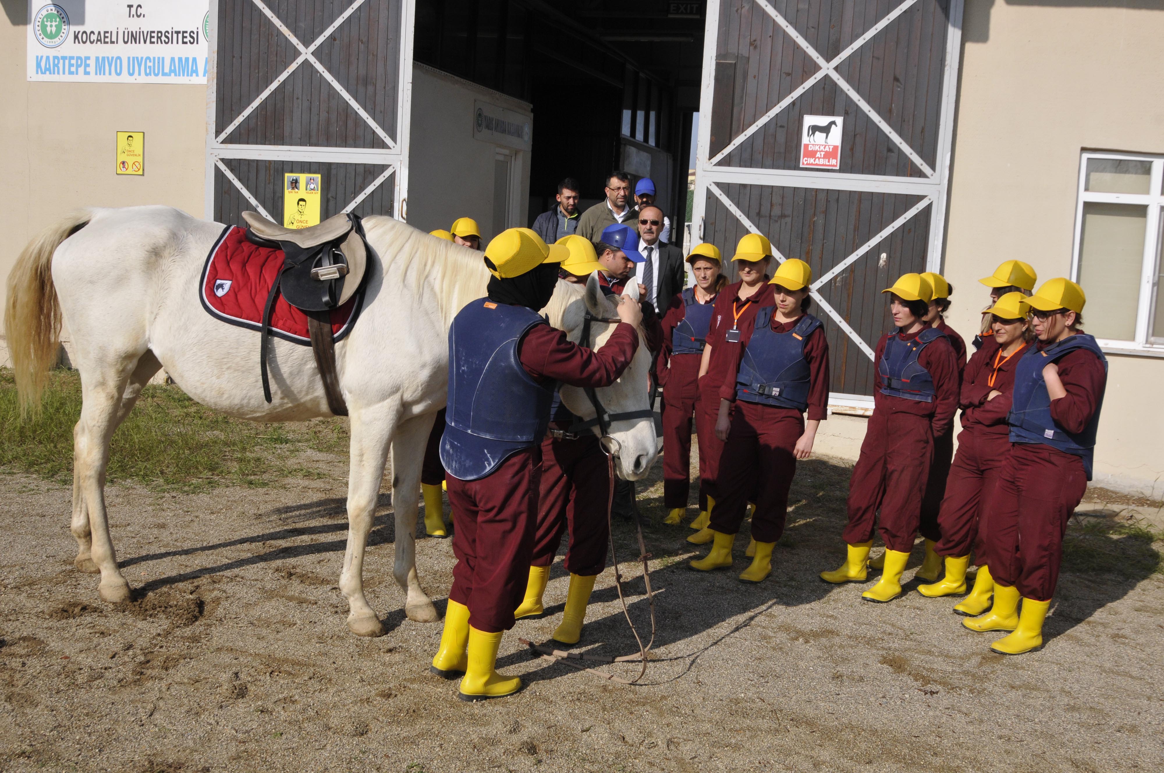 Kadınlara ‘seyislik’ eğitimi 
