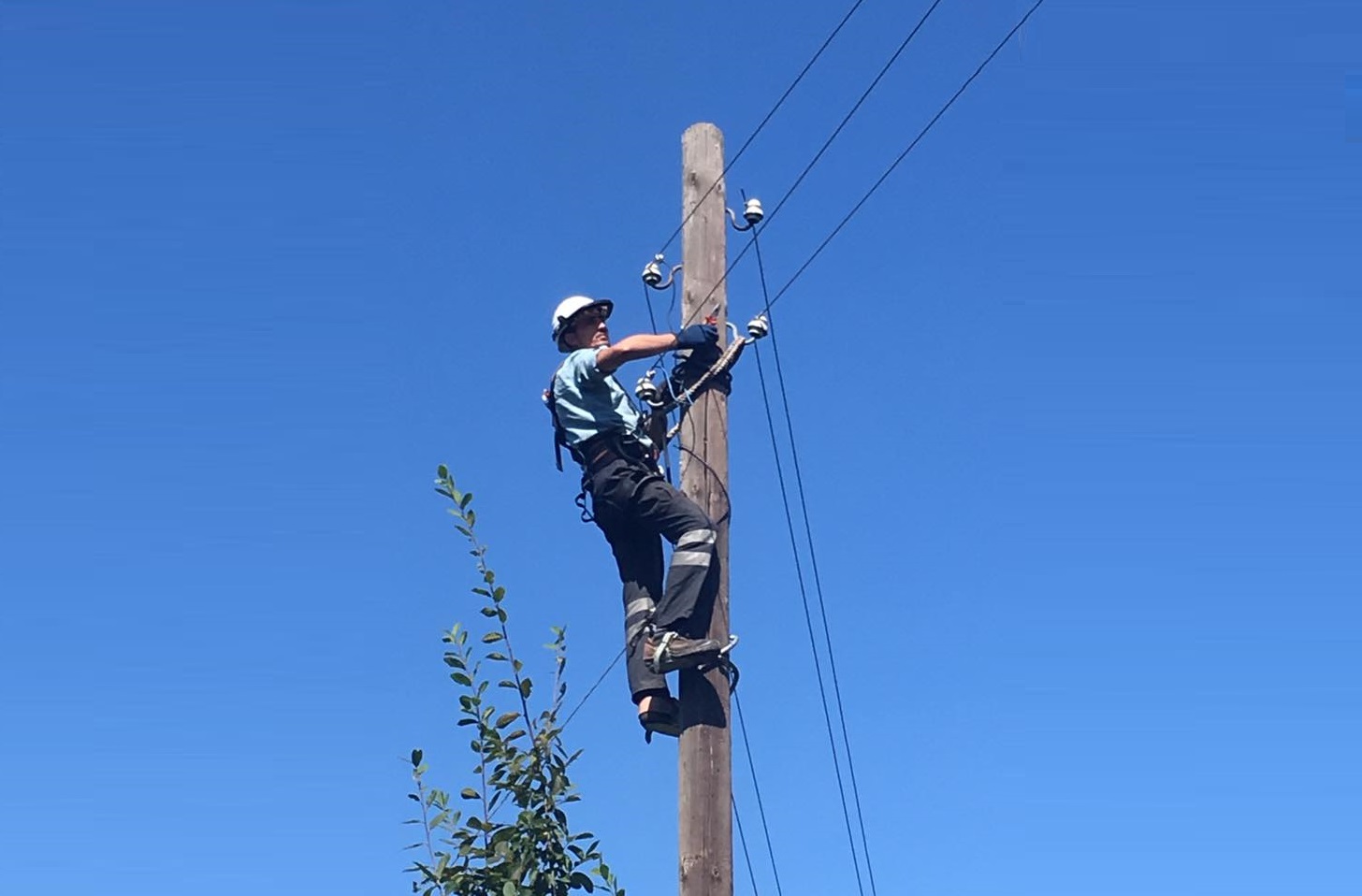  9 ayda önemli çalışmalar