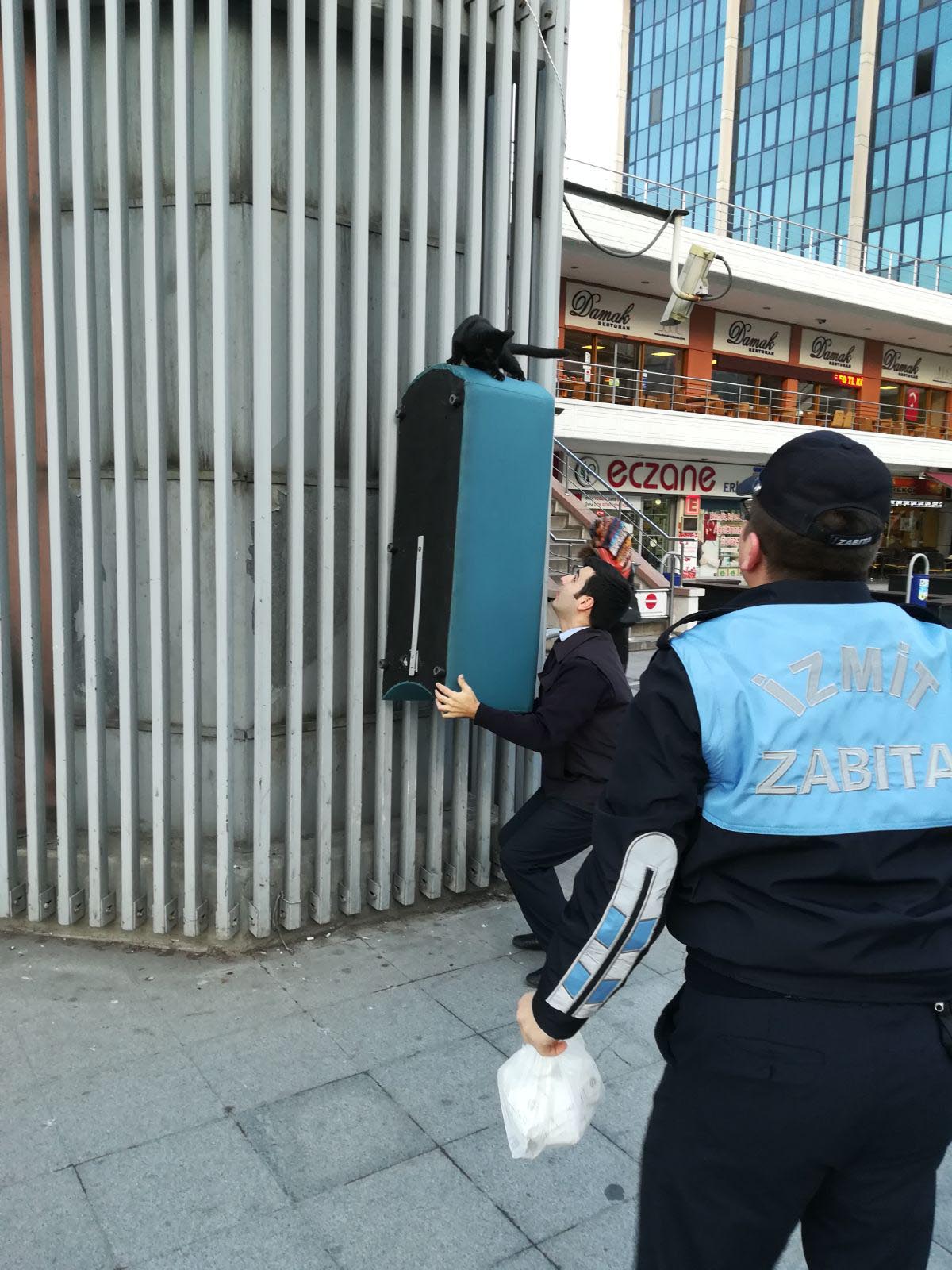 Zabıta kediyi kurtardı
