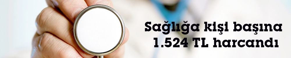 Sağlığa kişi başına  1.524 TL harcandı