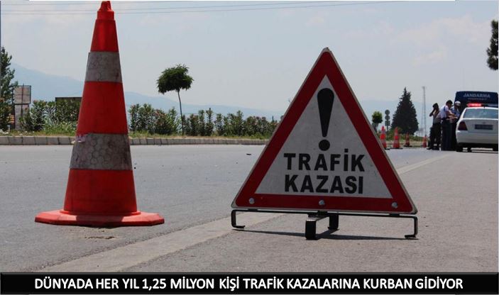 1,25 milyon kişi hayatını kaybediyor