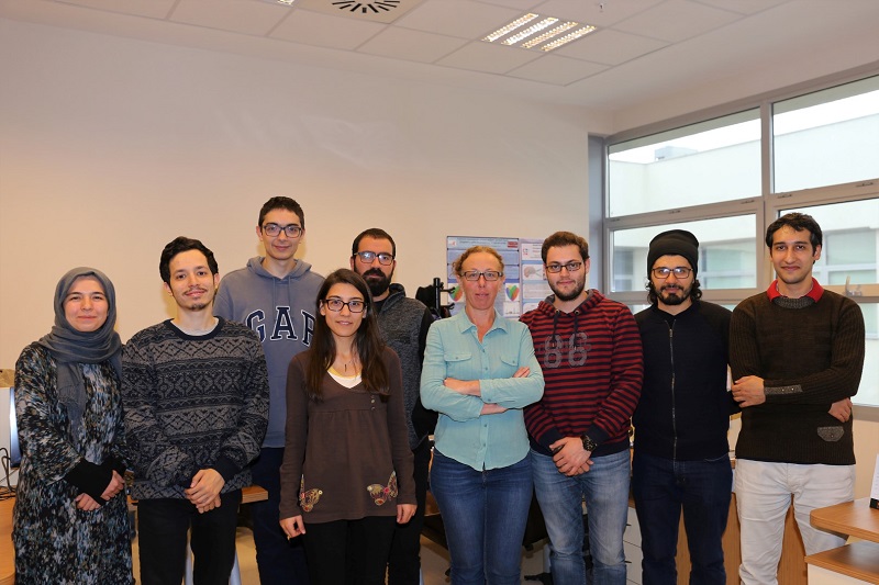 Kök hücrenin matematiğini çözecekler