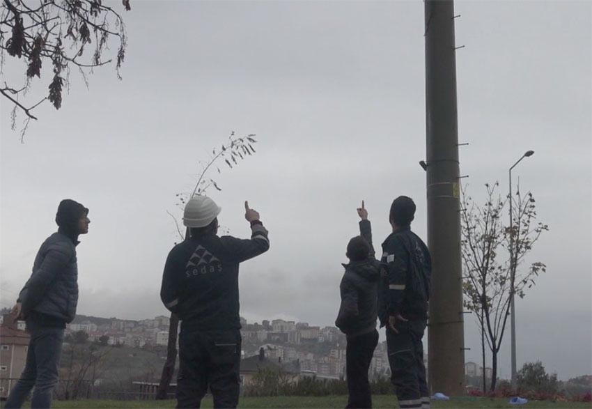 İntihar etmek için elektrik direğine çıktı