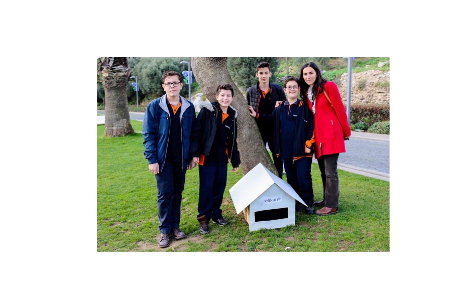 Kedi evlerini Pelikan öğrencileri yaptı