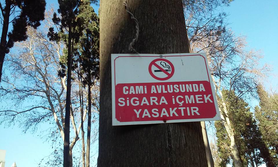 Ağaca çivi çakmak serbest mi?