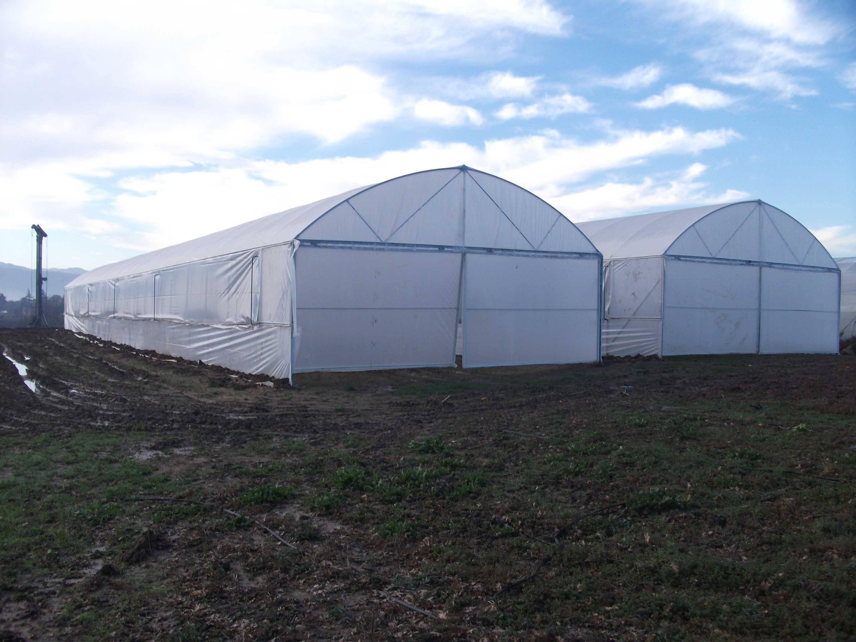 Üreticilere sera desteği