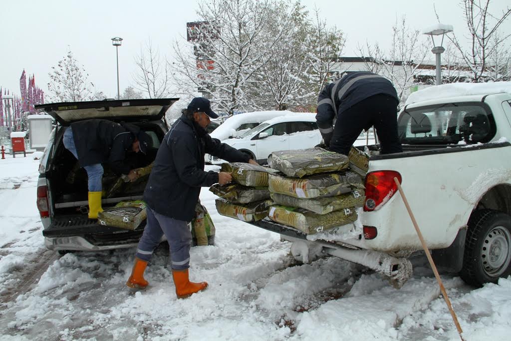 5 bin 500 hayvana şefkat eli
