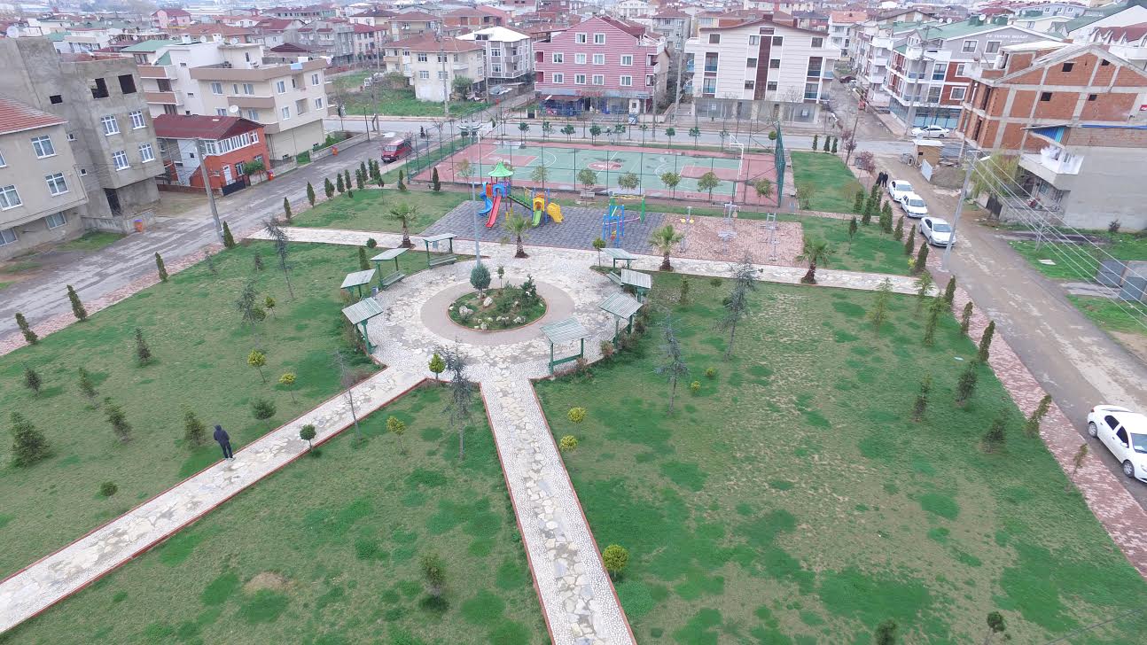 Darıca’da 11 bin 700 ağaç dikildi