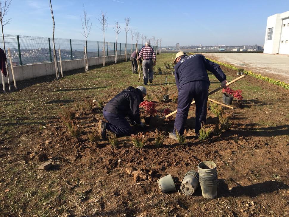 Belediyeden çevre düzenlemesi