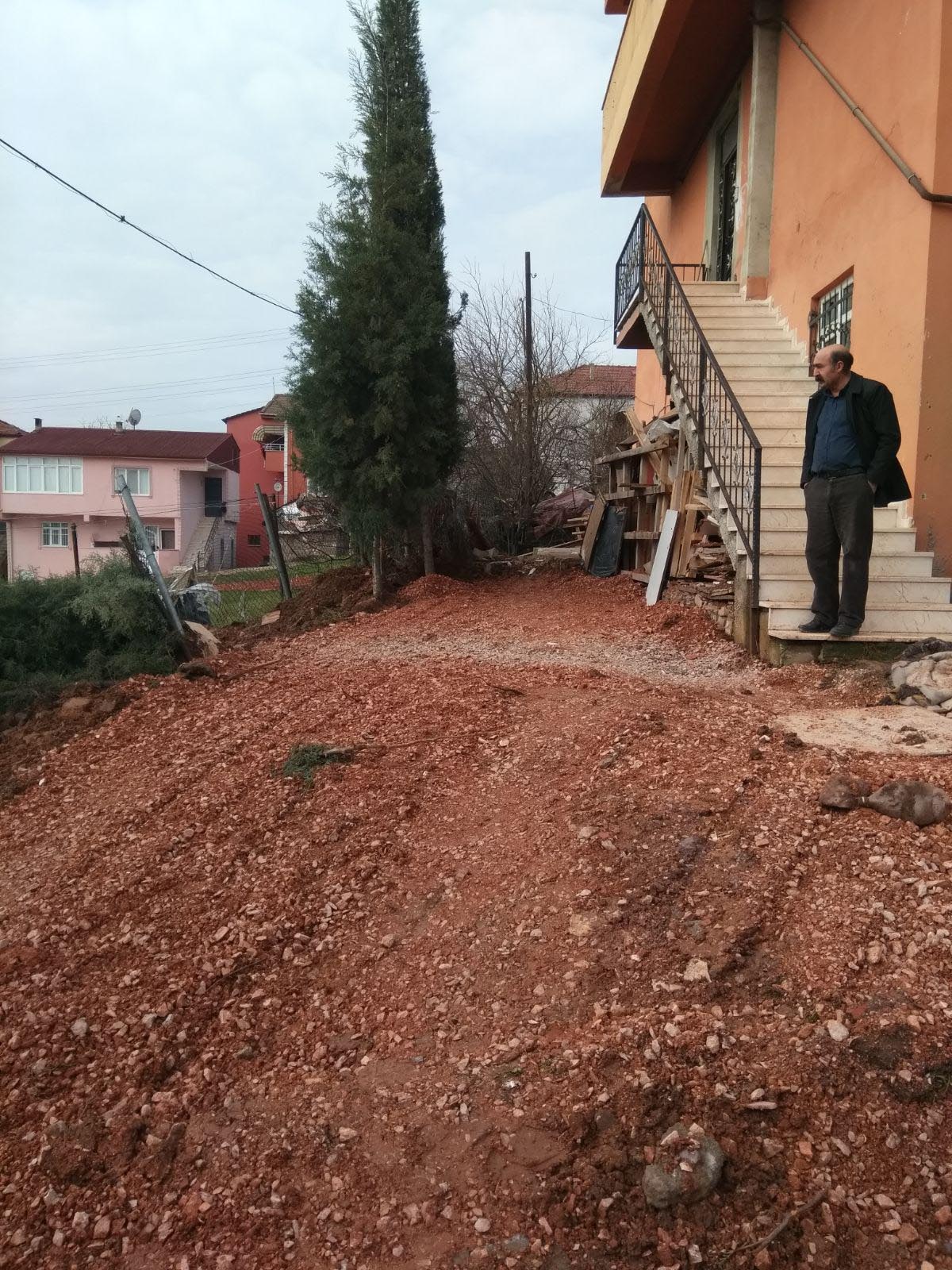 Ceviz fidelerini söktüler