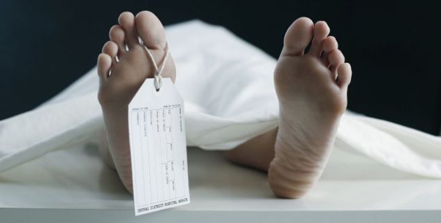 447 bin 342 kişi öldü