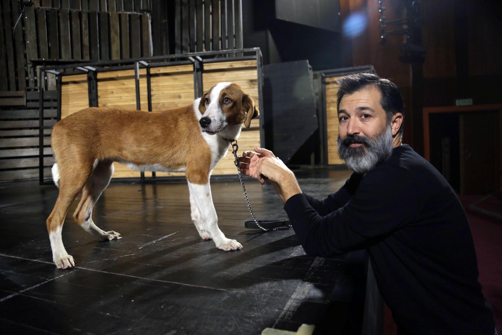 Barınaktan tiyatro sahnesine