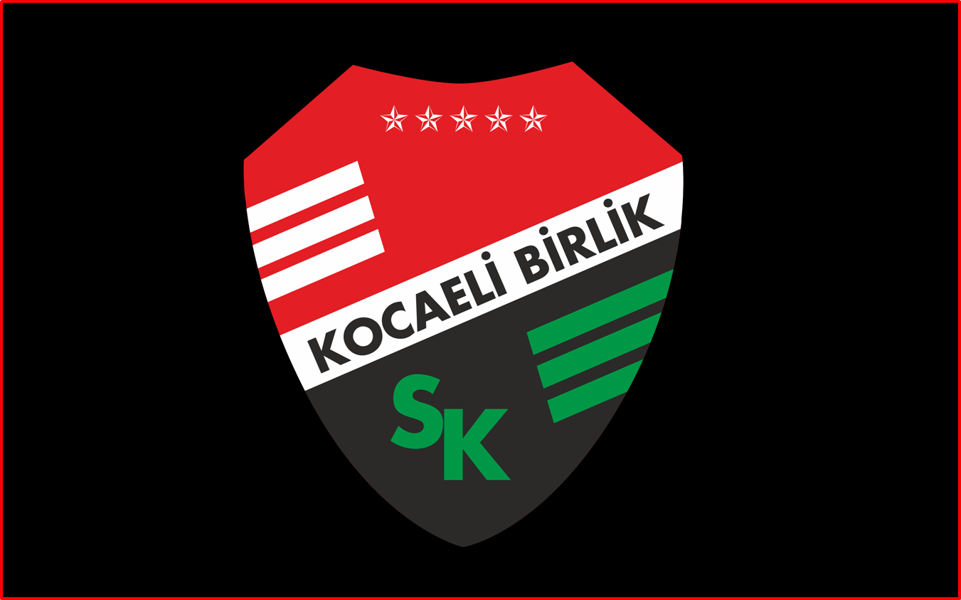 KOCAELİ BİRLİK SATILDI
