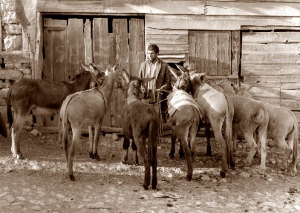 TAVŞANCIL’DAN BİR FOTOĞRAF