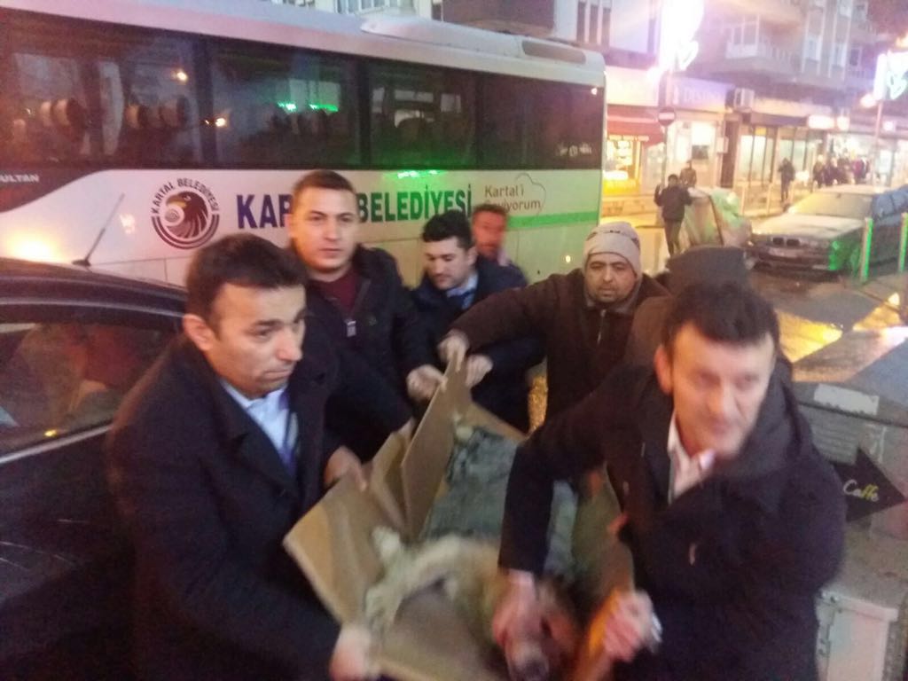 Yaralı köpeğe sahip çıktılar