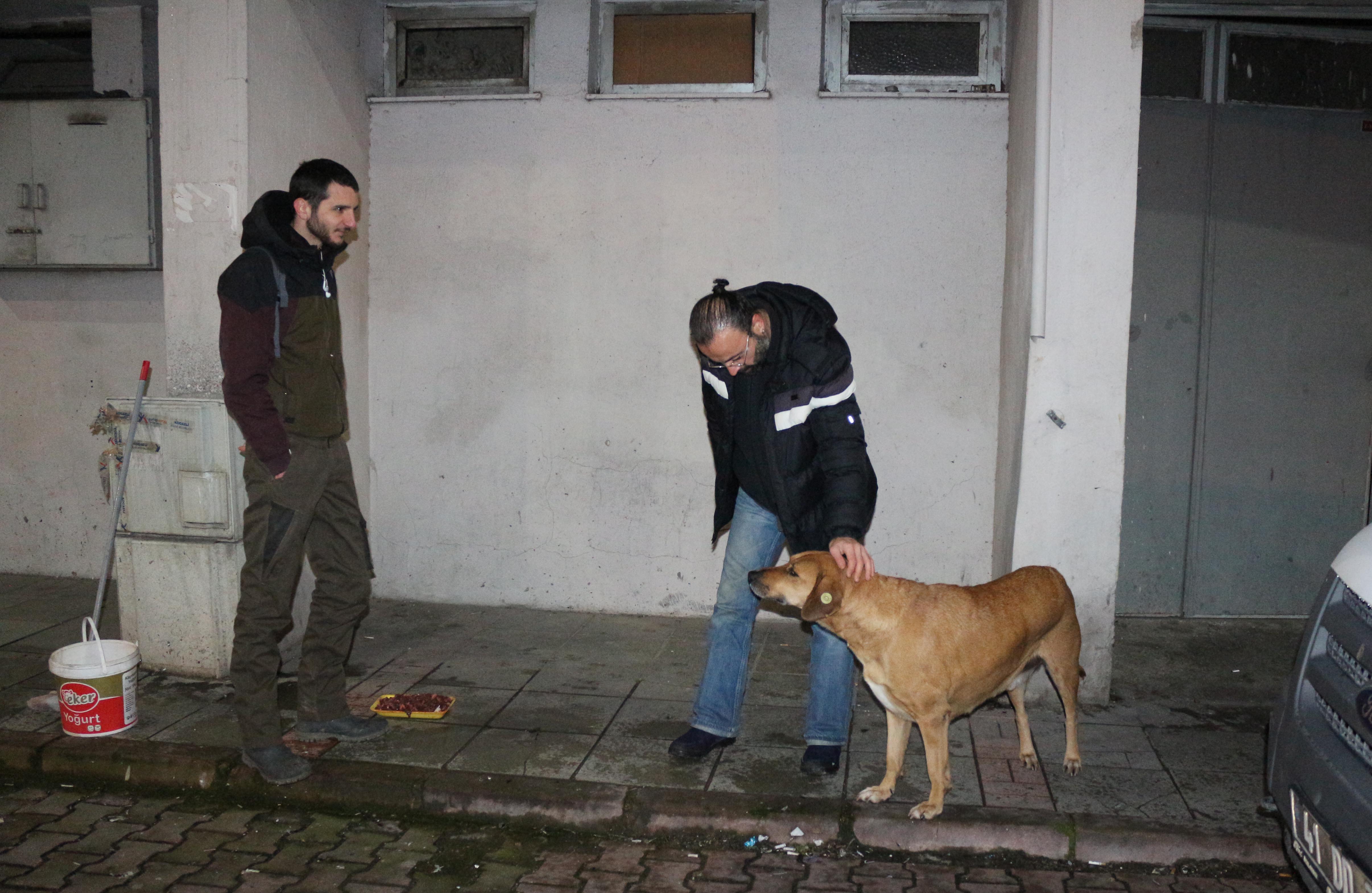 Hayvanları beslediler, cezalandırıldılar