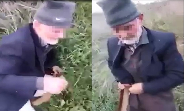 İşte köpeğe tecavüz eden sapığa verilen ceza