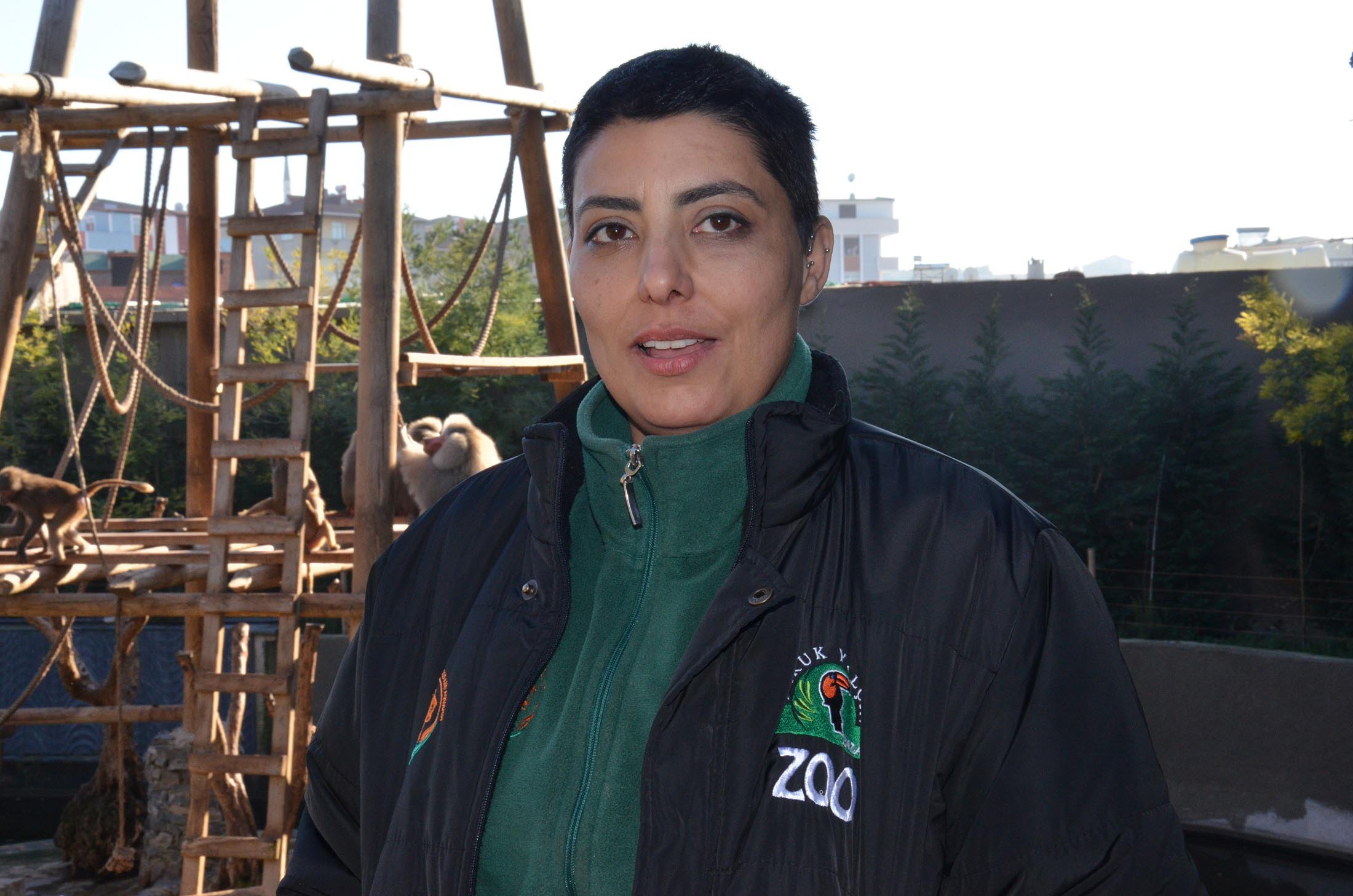 Yavru maymunlar ilgi odağı oluyor