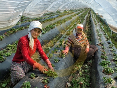 Başvuruları başladı