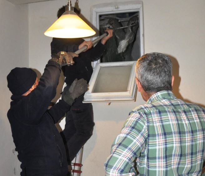 Havalandırma boşluğuna giren martı kurtarıldı