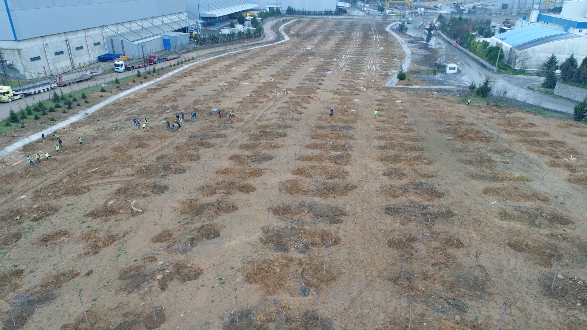 Tavşanlı’ya 6 bin 150 fidan dikildi  