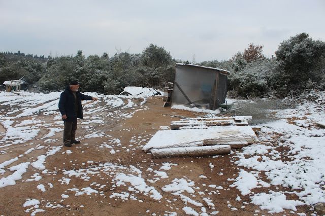 Demirciler’de arıcının konteyneri kaldırtıldı