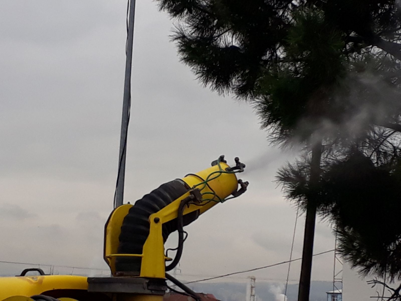 Çam Kese Böceği’ne karşı ilaçlama
