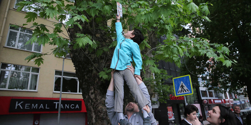 Ağaçlardan kitap topladılar