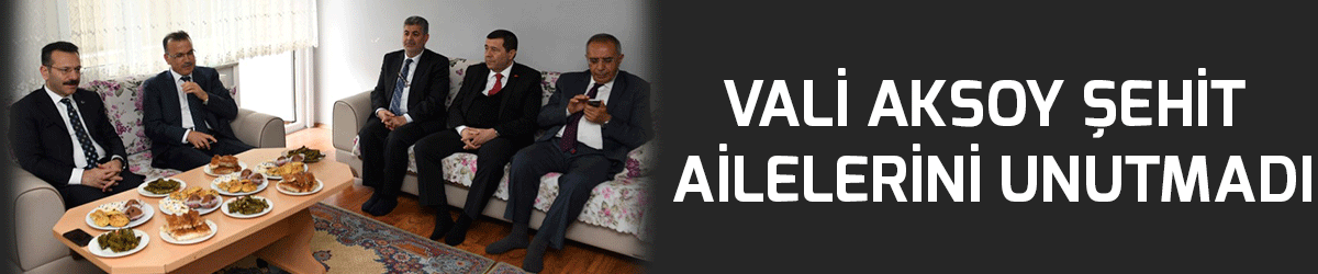 Vali Aksoy şehit ailelerini unutmadı