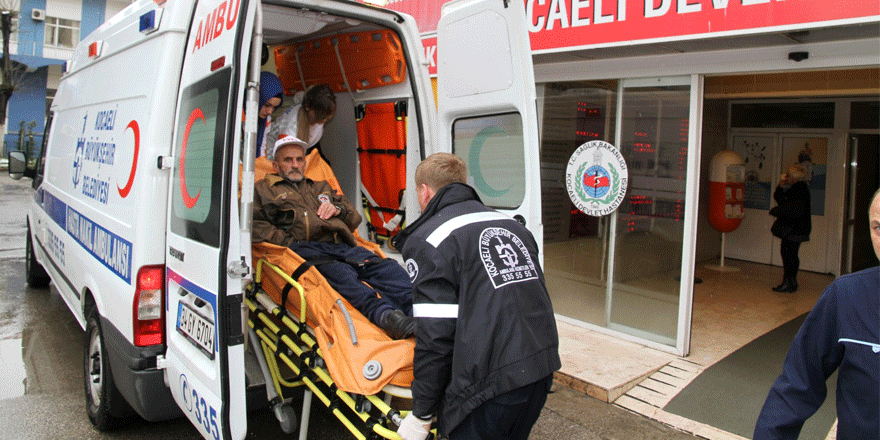 Bin 406 hasta nakli gerçekleşti