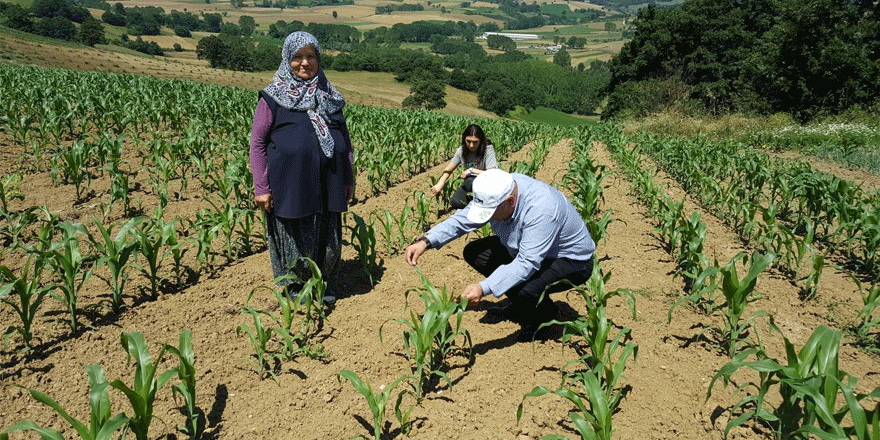 Çiftçilere destek sürüyor