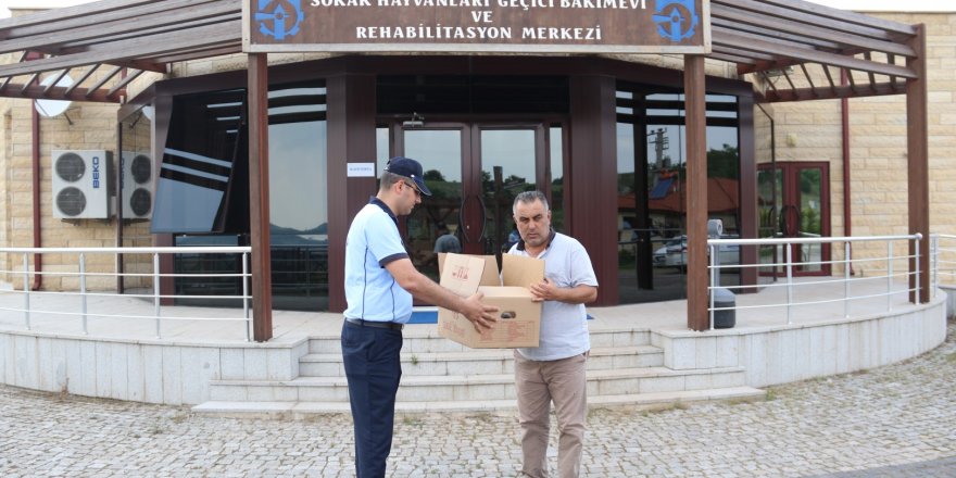 Ayağı kırılan martı emin ellerde