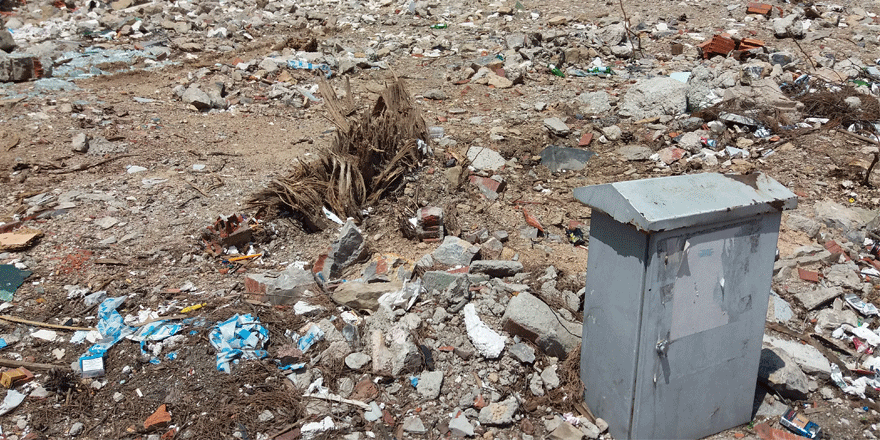 Caminin ağaçlarını kırdılar 