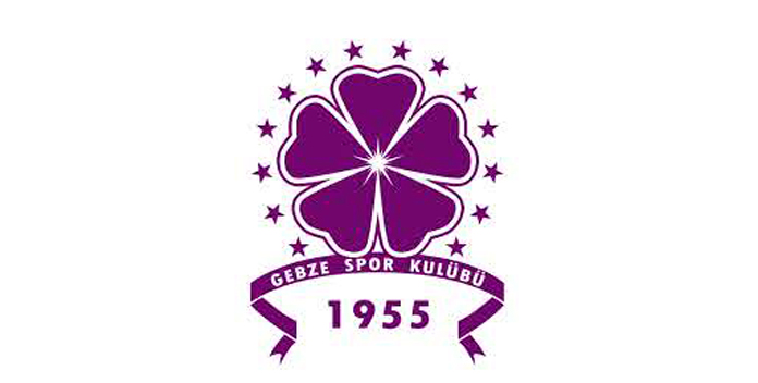 GEBZESPOR YÖNETİM KARARLARI