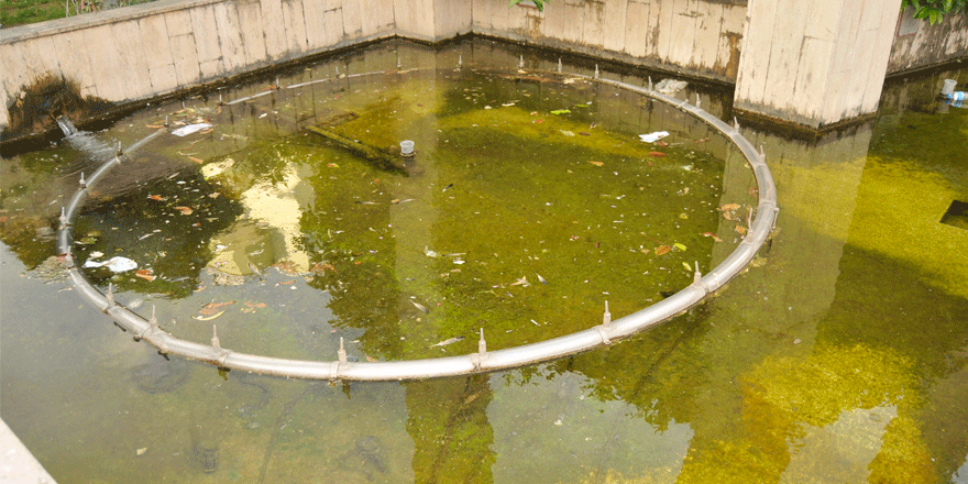 Süs havuzları pislik içerisinde