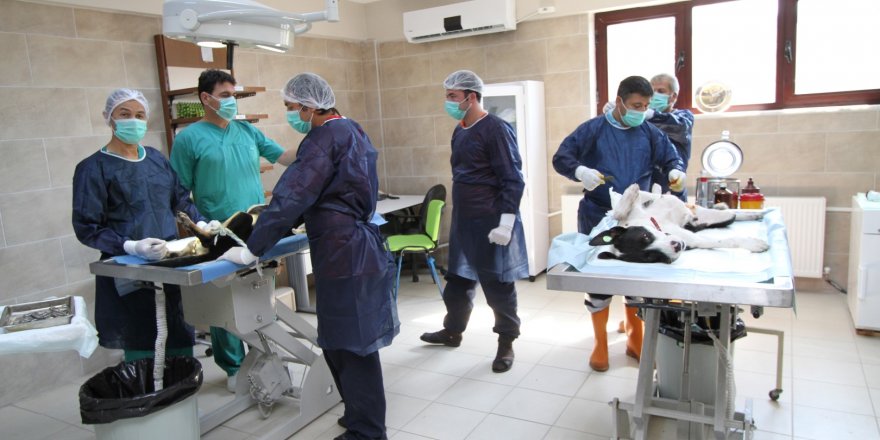 Bakan Eroğlu’ndan, Karaosmanoğlu’na teşekkür