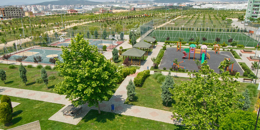 En zengin Botanik Bahçe Kocaeli’ye geliyor 